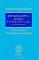 International Energy Investment Law: The Pursuit of Stability, Peter Cameron 