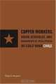 Copper Workers, International Business, and Domestic Politics in Cold War Chile, Angela Vergara 