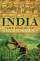 India: The Rise of an Asian Giant, Dietmar Rothermund 