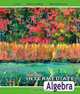 Intermediate Algebra (10th Edition), Margaret L. Lial, John Hornsby, Terry McGinnis 