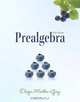 Prealgebra (6th Edition) (The Martin-Gay Paperback Series), Elayn Martin-Gay 
