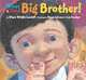 What a Good Big Brother! (Picture Book), Diane Wright Landolf 
