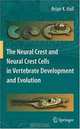 The Neural Crest and Neural Crest Cells in Vertebrate Development and Evolution (Springer series in solid-state sciences), Brian K. Hall 
