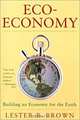Eco-Economy: Building an Economy for the Earth, Lester R. Brown 