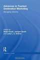 Advances in Tourism Destination Marketing: Managing Networks (Routledge Advances in Tourism), Metin Kozak, Juergen J.g Juergen Gnoth, Luisa Andreu 