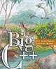 Big C++, Cay Horstmann, Timothy A. Budd 