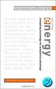 New Economy Excellence Series, New Economy Energy: Unleashing Knowledge for Competitive Advantage, Sultan Kermally 