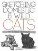 Sketching Domestic and Wild Cats: Pen and Pencil Techniques (Dover Art Instruction), Frank J. Lohan, Art Instruction 