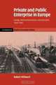 Private and Public Enterprise in Europe: Energy, Telecommunications and Transport, 1830-1990 (Cambridge Studies in Economic History - Second Series), Robert Millward 