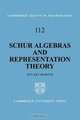 Schur Algebras and Representation Theory (Cambridge Tracts in Mathematics), Stuart Martin 