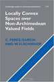 Locally Convex Spaces over Non-Archimedean Valued Fields (Cambridge Studies in Advanced Mathematics), C. Perez-Garcia, W. H. Schikhof 