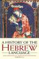 A History of the Hebrew Language, Angel Saenz-Badillos 