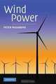Wind Power, Peter Musgrove 