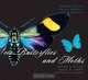 100 Butterflies and Moths: Portraits from the Tropical Forests of Costa Rica, Jeffrey C. Miller, Daniel H. Janzen, Winifred Hallwachs 
