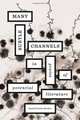 Many Subtle Channels: In Praise of Potential Literature, Daniel Levin Becker 