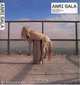 Anri Sala (Contemporary Artists), Mark Godfrey, Hans-Ulrich Obrist, Liam Gillick 