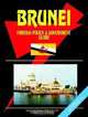 Brunei Foreign Policy And Government Guide, Ibp Usa 