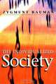 The Individualized Society, Zygmunt Bauman 