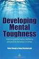 Developing Mental Toughness: Improving Performance, Wellbeing and Positive Behaviour in Others, Peter Clough, Doug Strycharczyk 