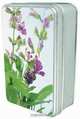 Simply Herbs Tinbox: Scented Geranium, Anness 