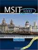 Msit 3000: Statistical Analysis for Business, Paul Holmes 