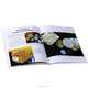 Cenozoic Fossils 1: Paleogene, Bruce L. Stinchcomb 