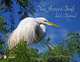 New Jersey Birds and Beyond, Susan Puder 