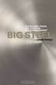 Big Steel: Technology, Trade, and Survival in a Global Market, Daniel Madar 