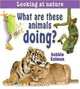 What Are These Animals Doing? (Looking at Nature), Bobbie Kalman 