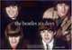 The Beatles: 365 Days, Simon Wells 