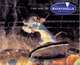 The Art of Ratatouille, Karen Paik 