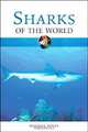 Sharks of the World, Rodney Steel 