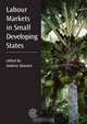 Labour Markets in Small Developing States, 