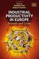 Industrial Productivity in Europe: Growth and Crisis, Matilde Mas, Robert Stehrer 