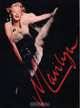 Marilyn: A Never-Ending Dream, Guus Luijters 