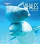 Whales, Melissa Gish 