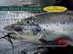 100 Best Flies for Atlantic Salmon, Topher Browne 
