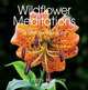 Wildflower Meditations: A Gift for the Spirit, Patty Hankins 