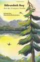 Adirondack Amy: and Her Chickadee Friends, Kristen J Huss 