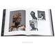 European Bronzes from the Quentin Collection, Manfred Leithe-Jasper, Patricia Wengraf 