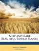 New and Rare Beautiful-Leaved Plants, Shirley Hibberd 
