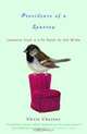 Providence of a Sparrow : Lessons from a Life Gone to the Birds, Chris Chester 