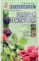 Малина и ежевика, Ярославцев Евгений Иванович 