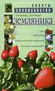 Земляника, Г. Ф. Говорова, Д. Н. Говоров 