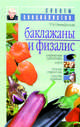 Баклажаны и физалис, Октябрьская Татьяна Анатольевна 
