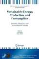 Sustainable Energy Production and Consumption: Benefits, Strategies and Environmental Costing (NATO Science for Peace and Security Series C: Environmental ... Security Series C: Environmental Security), 