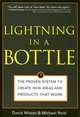 Lightning in a Bottle, David Minter, Michael Reid 