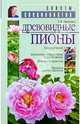 Древовидные пионы - (Советы специалистов), Иванова Зинаида Яковлевна 