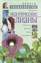 Экзотические лианы (аристолохия, древогубец, княжик, луносемянник), Иванова Зинаида 