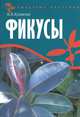 Фикусы, Куликова Марина Владимировна 